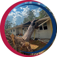 Storm Cleanup Icon