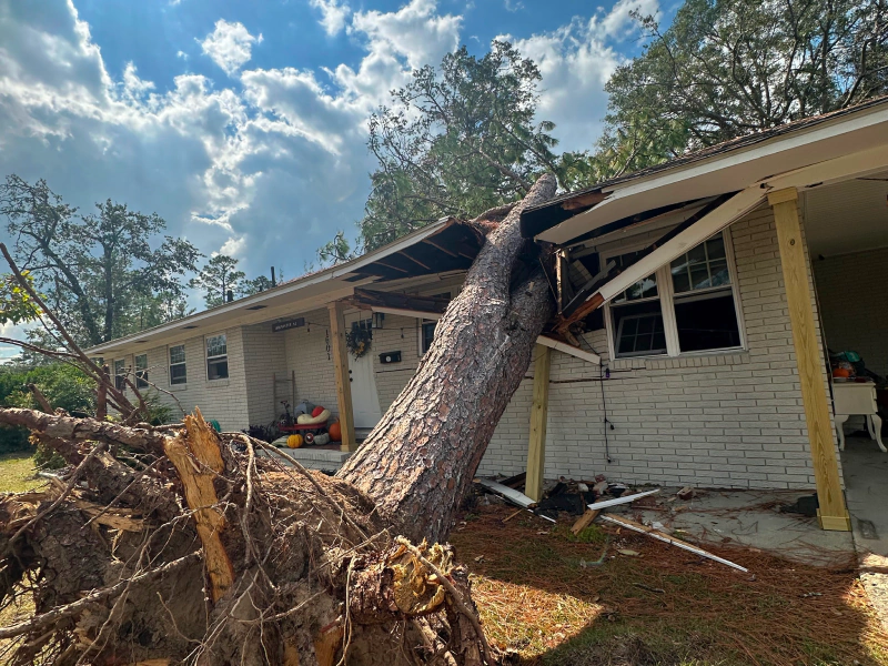 Storm Cleanup