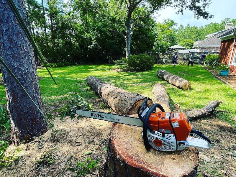 Tree Removal